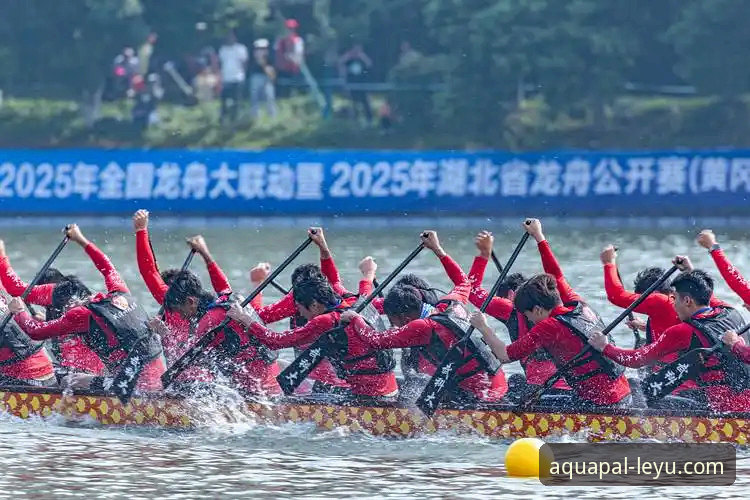 乐鱼体育平台深度评测：一站式体育资讯与互动体验全解析