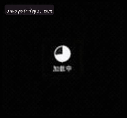 赵宇