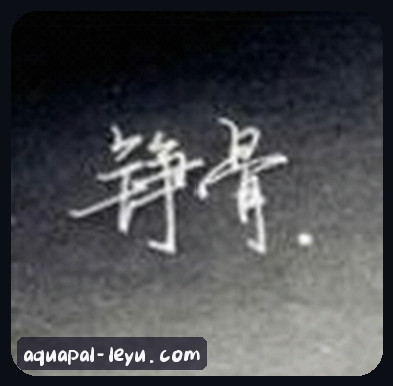 王婷